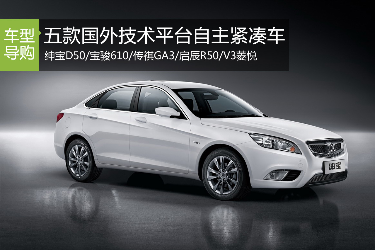 华裔混血儿 五款国外技术平台自主紧凑车