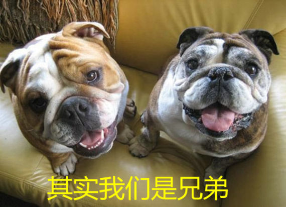 比亚迪G5 何必自相残杀