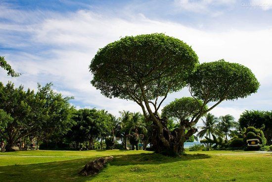 北京京顺宝 BMW爱车换“芯”行动