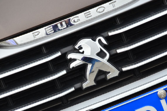 由倒伏变站立的狮标 由倒伏变站立的狮标