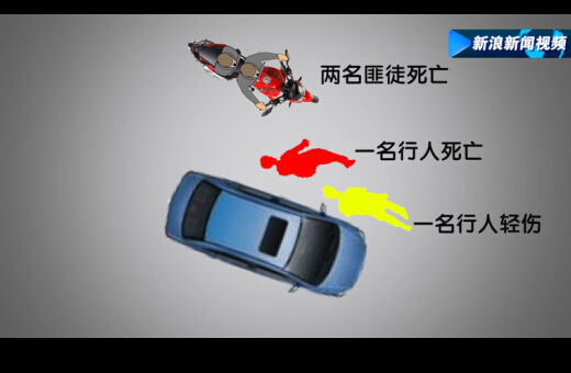 男子被抢后驾车追赶 撞死2名抢匪1名路人判10年