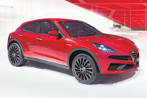 阿尔法-罗密欧SUV 阿尔法-罗密欧SUV
