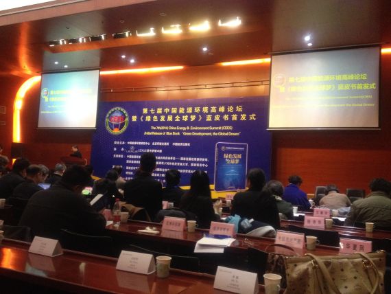 郎立新：期待市场推进新能源政策发生变化