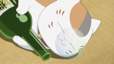 治堵要靠单双号？那互联网技术也是醉了