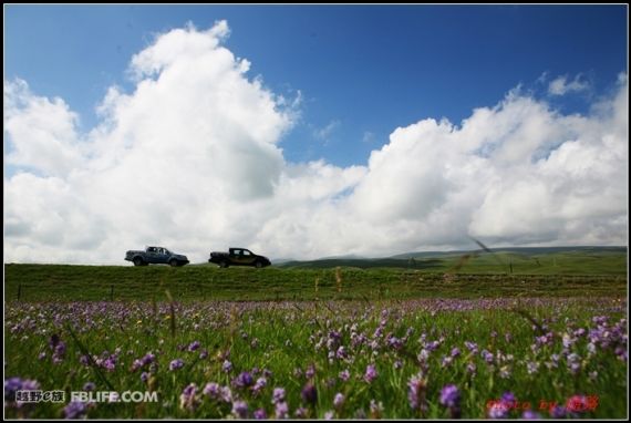 可可西里纪录片拍摄现场
