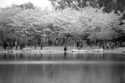 京开返京车流量过大 4个入口封闭2小时