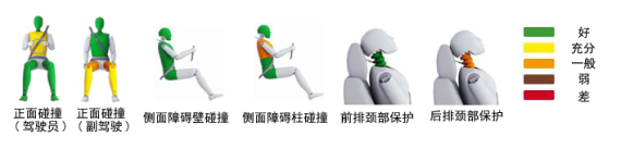 成人保护 成人保护