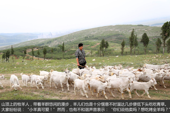 胖哥试车是怎样炼成的 胖哥试车是怎样炼成的