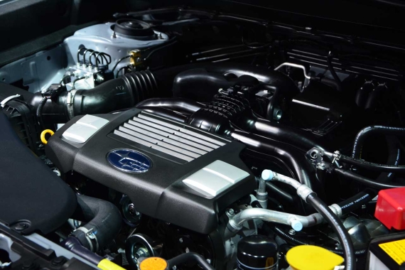 斯巴鲁森林人特装版