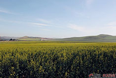 一路朝着绚丽的北极光前行！