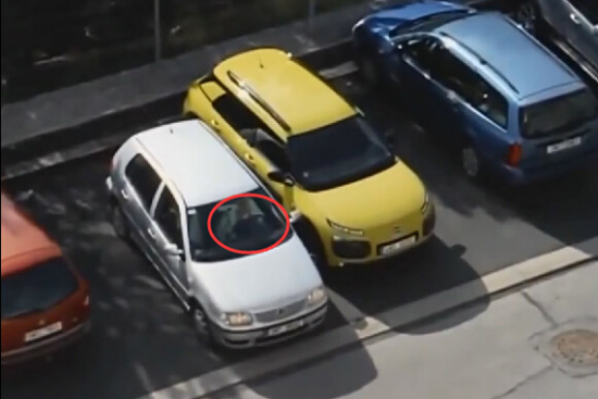 视频：逼死强迫症 奇葩女司机停车入库