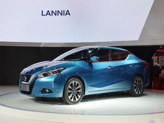 蓝鸟能飞多高？