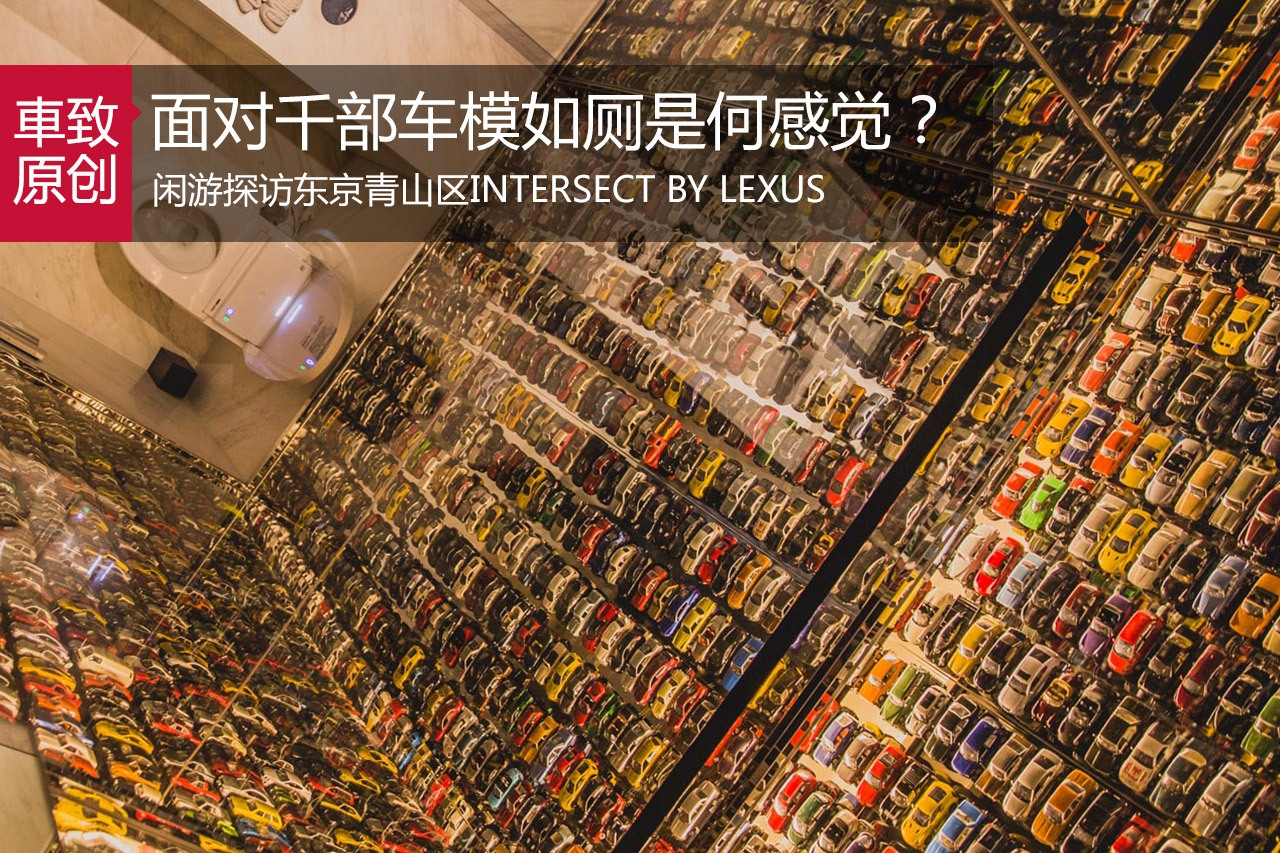 面对1700多部车模如厕是种怎样的幸福感？