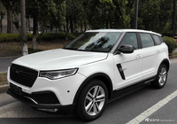 某街头惊现“全新路虎”  浓浓的塑料感