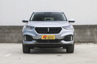 2018款WEY VV6 2.0T自动两驱旗舰型