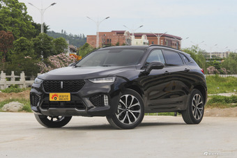 2017款WEY VV7 2.0T自动豪华型图片