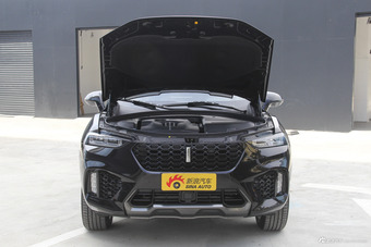 2017款WEY VV7 2.0T自动豪华型图片