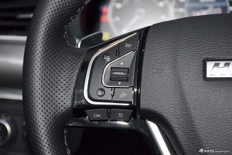 2017款哈弗H7 2.0T自动尊享型红标