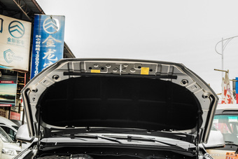 2016款萨瓦纳2.0T自动四驱汽油尊享版5座