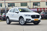 2017款宝沃BX5 20TGDI 1.4T自动两驱先锋型