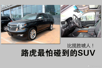 路虎最怕碰到的SUV 比揽胜唬人！