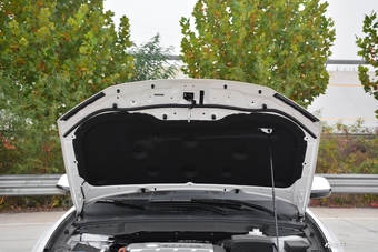 2017款哈弗H6 Coupe 2.0T自动两驱都市型蓝标