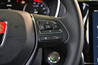 2018款荣威RX5 2.0T 30T自动两驱智联网铂金版