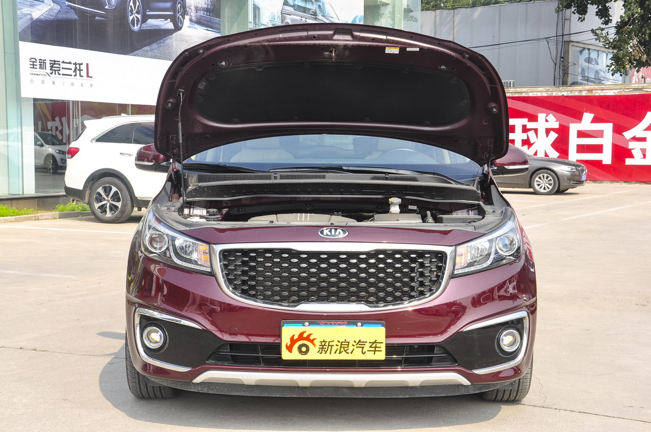 2015款嘉华（进口）3.3L自动豪华版 国IV图片