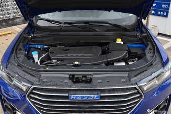 2019款哈弗H6 2.0T自动冠军版蓝标