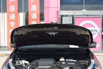 2019款楼兰2.5L自动S/C XE HEV四驱混动智联尊尚版