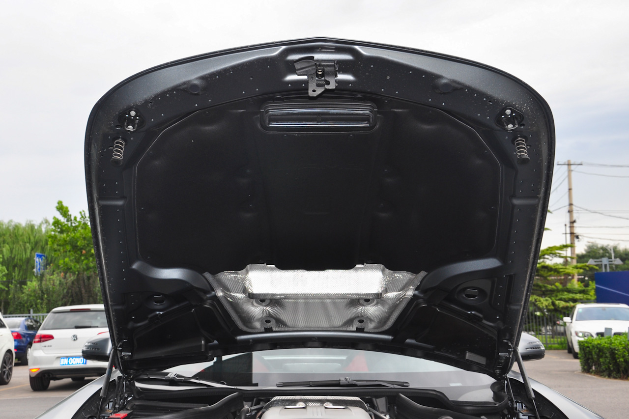 2016款奔驰 AMG GT 4.0T 自动