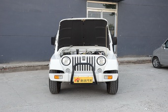 2016款战旗皮卡2.2L手动汽油双排豪华型4G22B