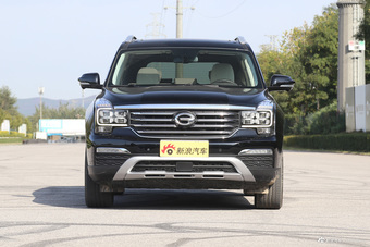 2017款传祺GS8 2.0T自动两驱尊贵版320T