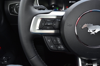 2018款Mustang 5.0L自动V8 GT 