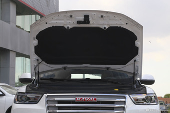 2017款哈弗H6 换代2.0T自动两驱领尚型红标