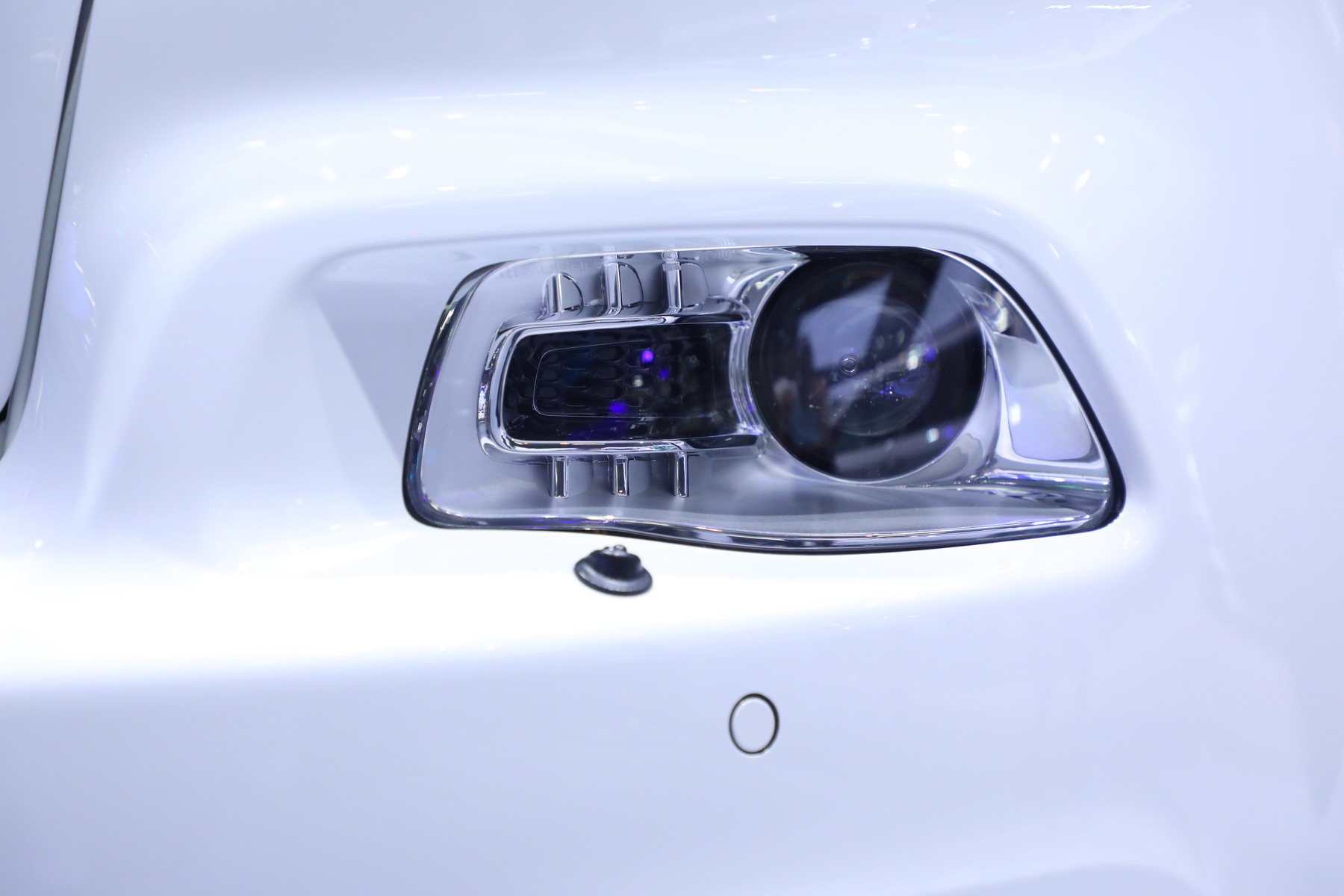 自由光（进口）