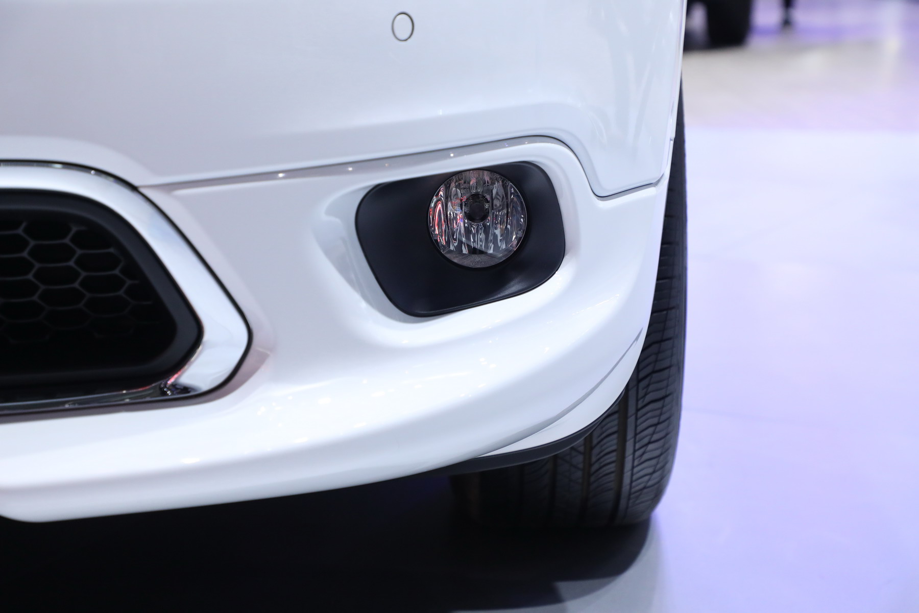 自由光（进口）