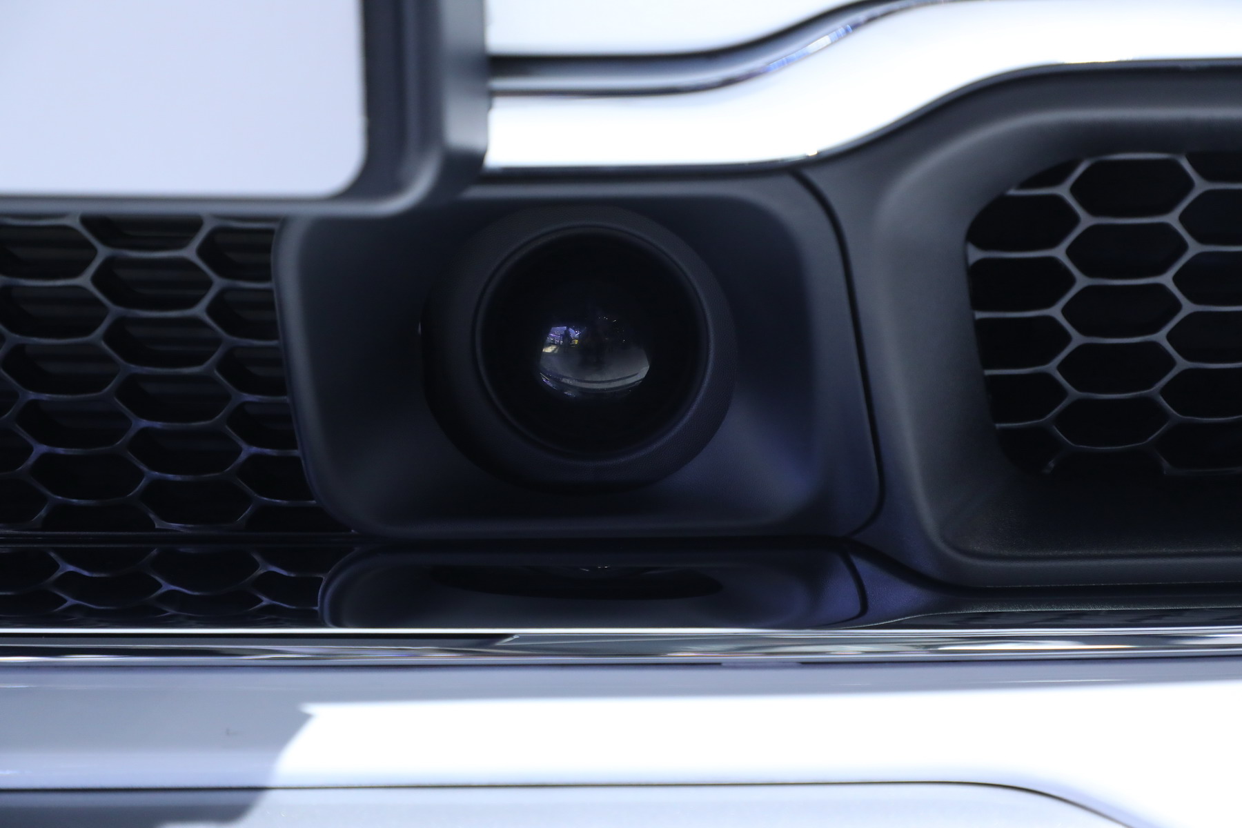 自由光（进口）