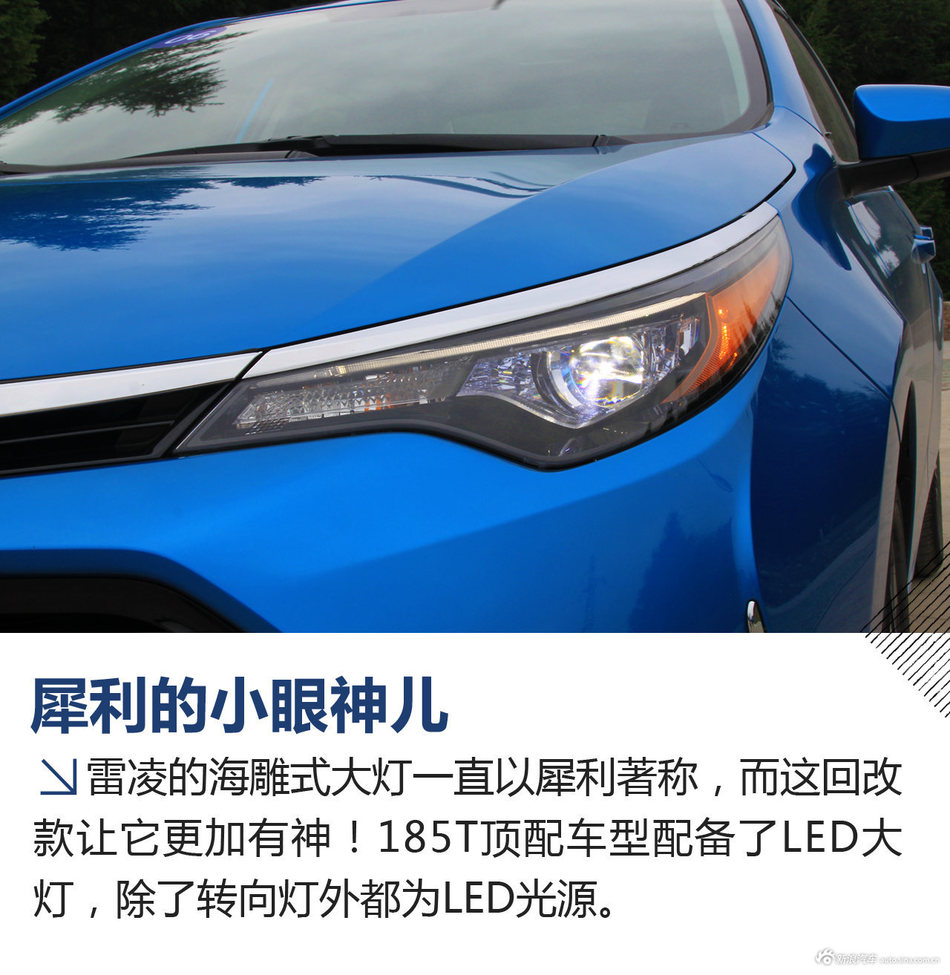 爱"长跑"的运动小子 试驾新款雷凌185t