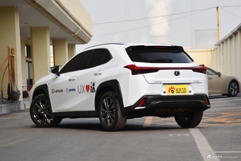 2019款雷克萨斯UX 200 F SPORT版