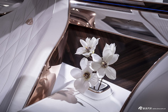 车展实拍|迈巴赫至臻豪华概念车 全球首发