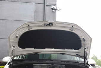 2014款夏朗2.0T自动标配型图片