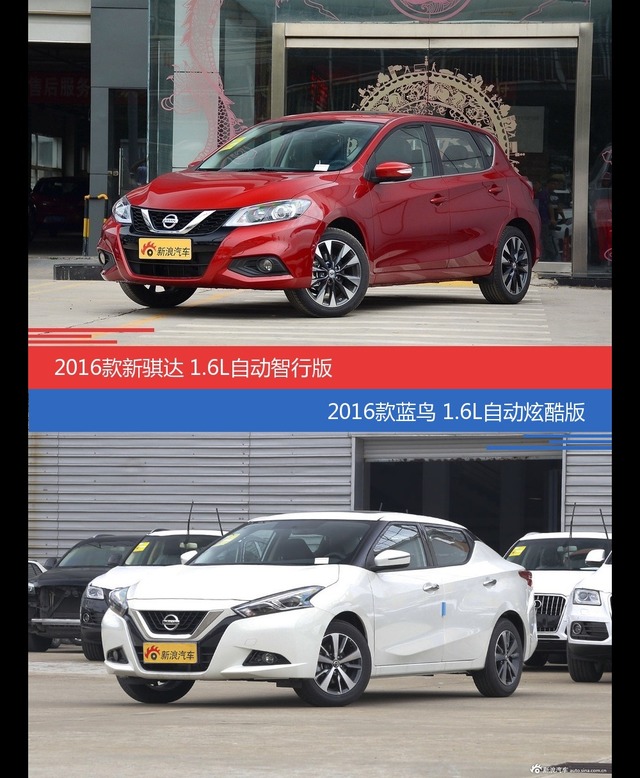 价格相同风格迥异 骐达与LANNIA蓝鸟选谁更适合