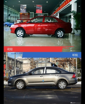 针锋相对各有千秋  花冠对比昕锐