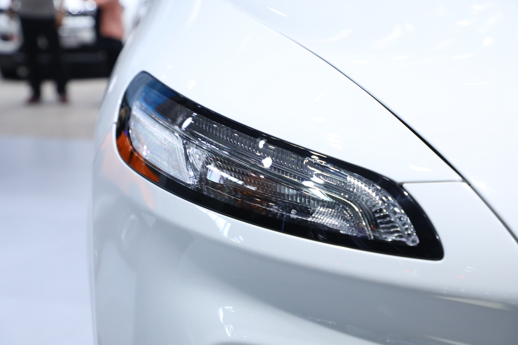 自由光（进口）