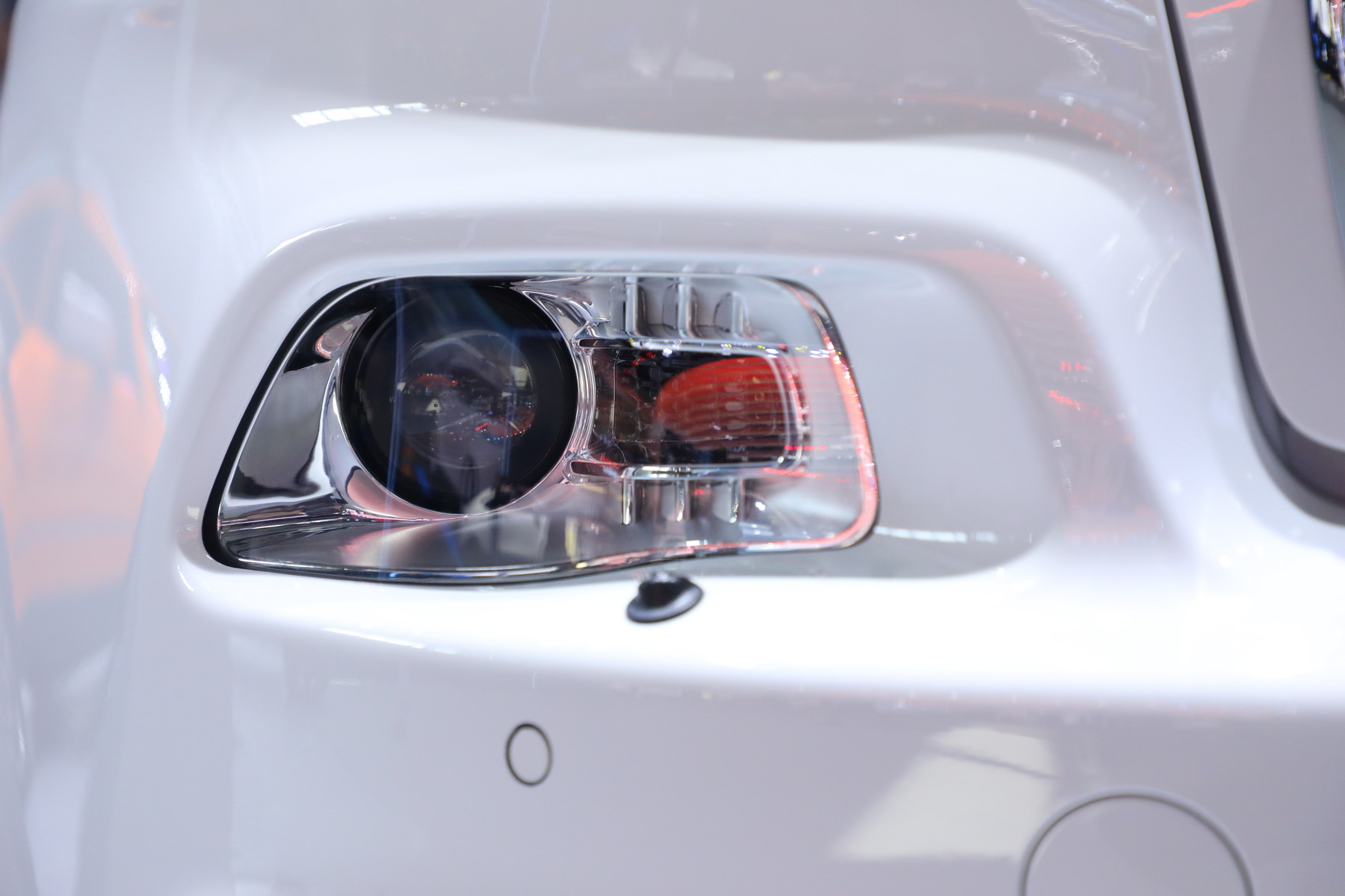 自由光（进口）