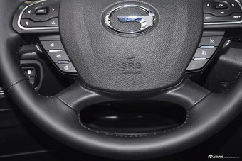 2017款传祺GS8 2.0T自动两驱尊贵版320T