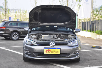 2014款高尔夫-进口1.4T自动豪华旅行版图片