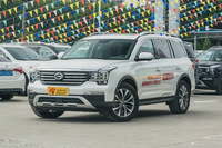 2017款传祺GS8 2.0T自动四驱至尊版320T