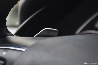 2017款传祺GS8 2.0T自动两驱尊贵版320T